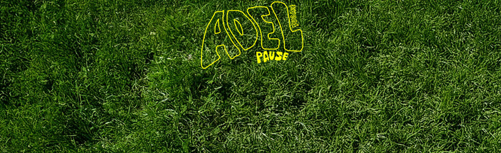 ADEL FUGAZI